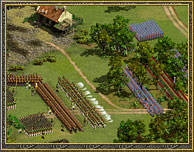 Cossacks II Seite ab heute Online